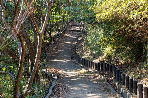 天園地方|天園（六国峠）